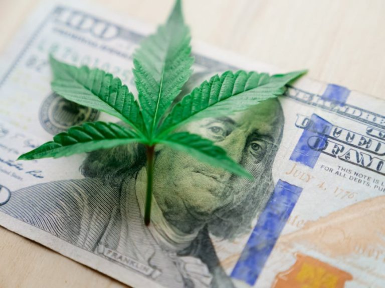 Welcome to Prague’s premier destination for high‑quality THC vapes, cannabis, and hemp products