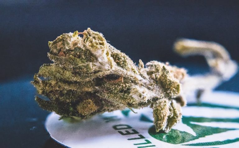 Prague THC Chocolate Boutique