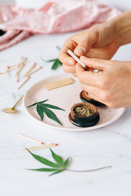 Prague’s Growing Interest in Hemp and Cannabis