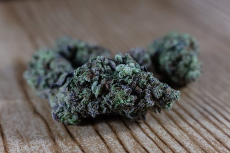 Cannabis Dispensary Prague: Premium THC Vapes, Cartridges, Concentrates, and Hemp Extracts