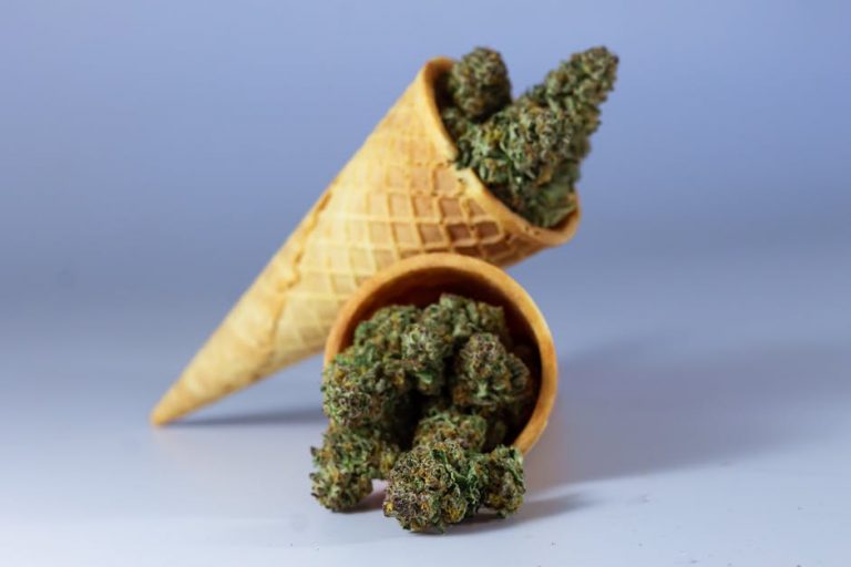 Cannabis Delivery Prague Reliable Affordable and Professional Service