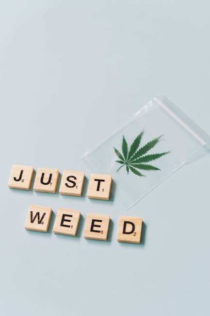 Prague Cannabis Delivery Service