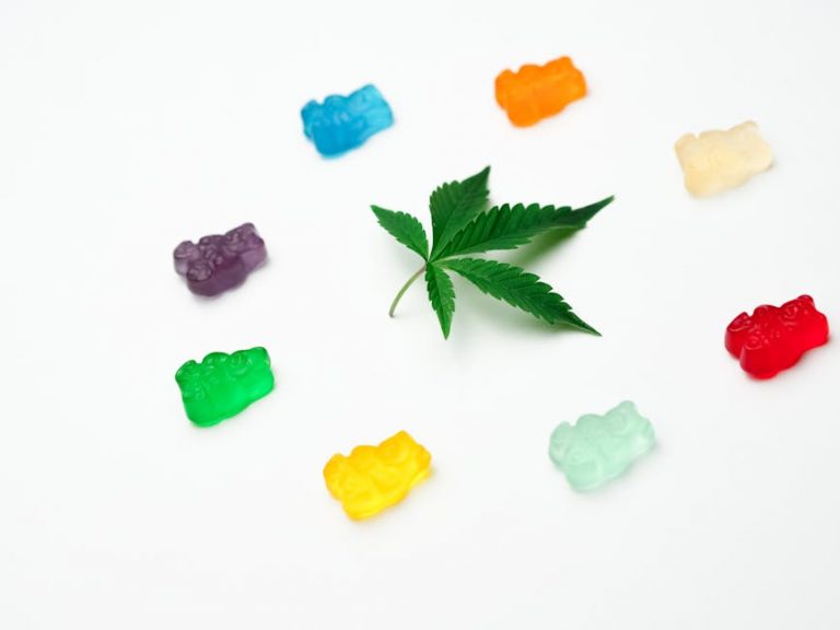 Prague Hemp Shop Your One Stop Destination for CBD Hemp Oils and More