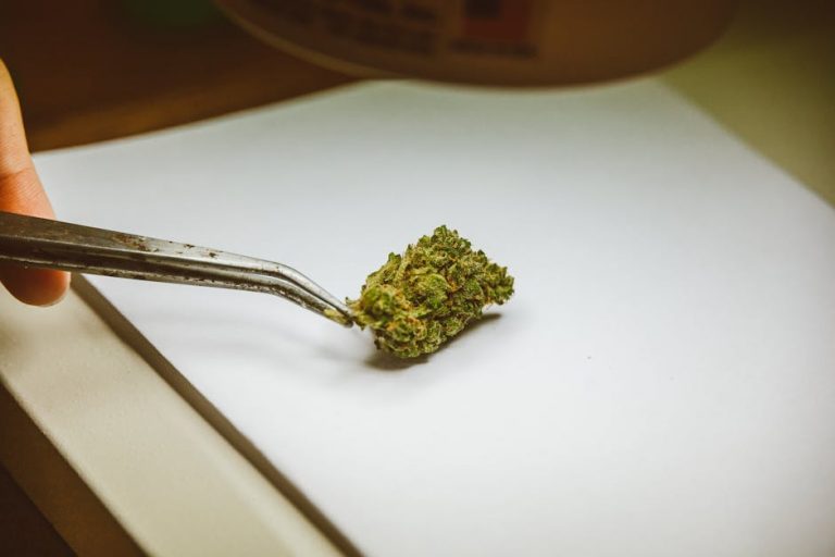 Prague Hemp Shop