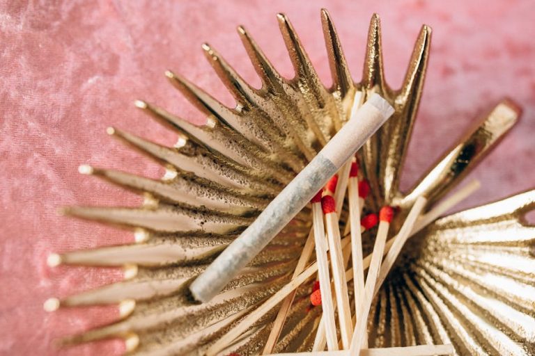 Looking for the best THC‑rich joints in Prague? Whether you’re a seasoned cannabis enthusiast or a curious newcomer, our online shop offers a curated selection of pre‑rolled joints, rolling papers, and trays that cater to every taste.