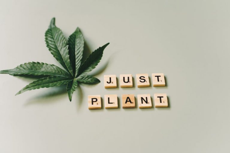 Premium THC Joints Delivery in New Town, Prague