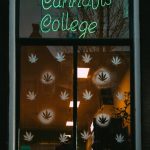 THC chocolate catalog official in Prague img-1526.jpg