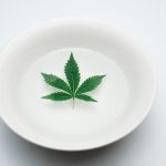 Welcome to the premier online dispensary for cannabis, weed, and hemp in the heart of the Czech Republic img-1552.jpg