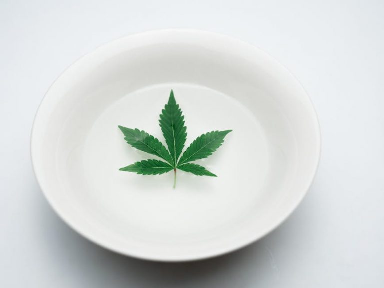 Welcome to the premier online dispensary for cannabis, weed, and hemp in the heart of the Czech Republic