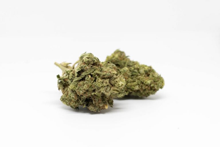 Prague’s Cannabis Culture: A Guide to the Downtown Dispensary