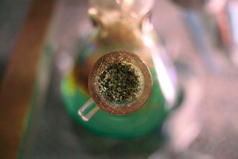 New Town (Nové Město) in Prague has become a vibrant hub for cannabis culture