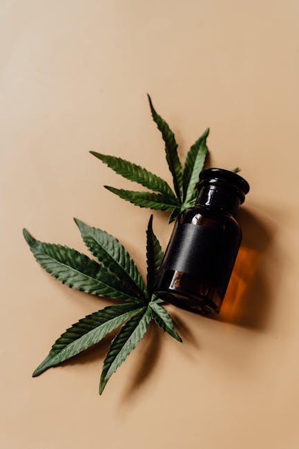 Prague’s Vibrant Cannabis Scene: THC Chocolate and Legal Cannabis Products