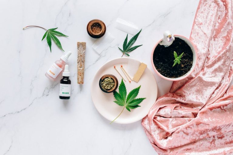 The Most Comprehensive Marijuana Catalog in Prague