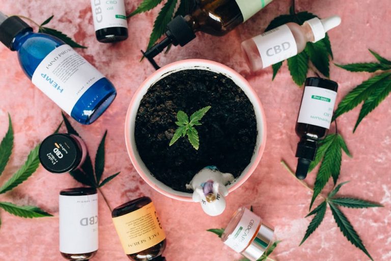 Vape Industry in Prague: Cannabis and THC Cartridges Market
