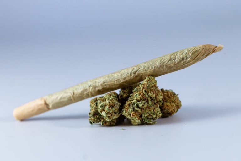 Prague Cannabis Dispensary: Your Licensed Source for Premium Marijuana, Hemp, and THC Products