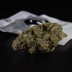 Prague is quickly becoming a hub for cannabis enthusiasts across the Czech Republic and the wider European Union img-1921.jpg