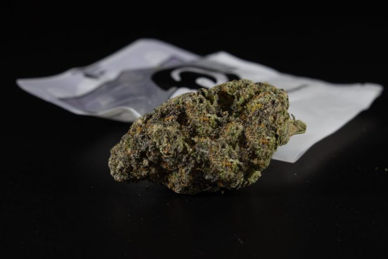 Prague is quickly becoming a hub for cannabis enthusiasts across the Czech Republic and the wider European Union
