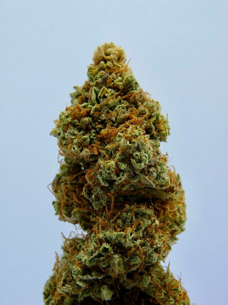 Premium THC Vapes and Cannabis Products Delivered in Prague