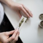 Premier Cannabis Shop in Prague img-1954.jpg