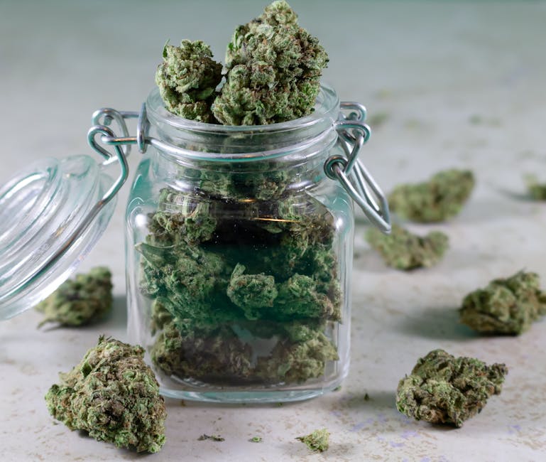 Weed Delivery Prague