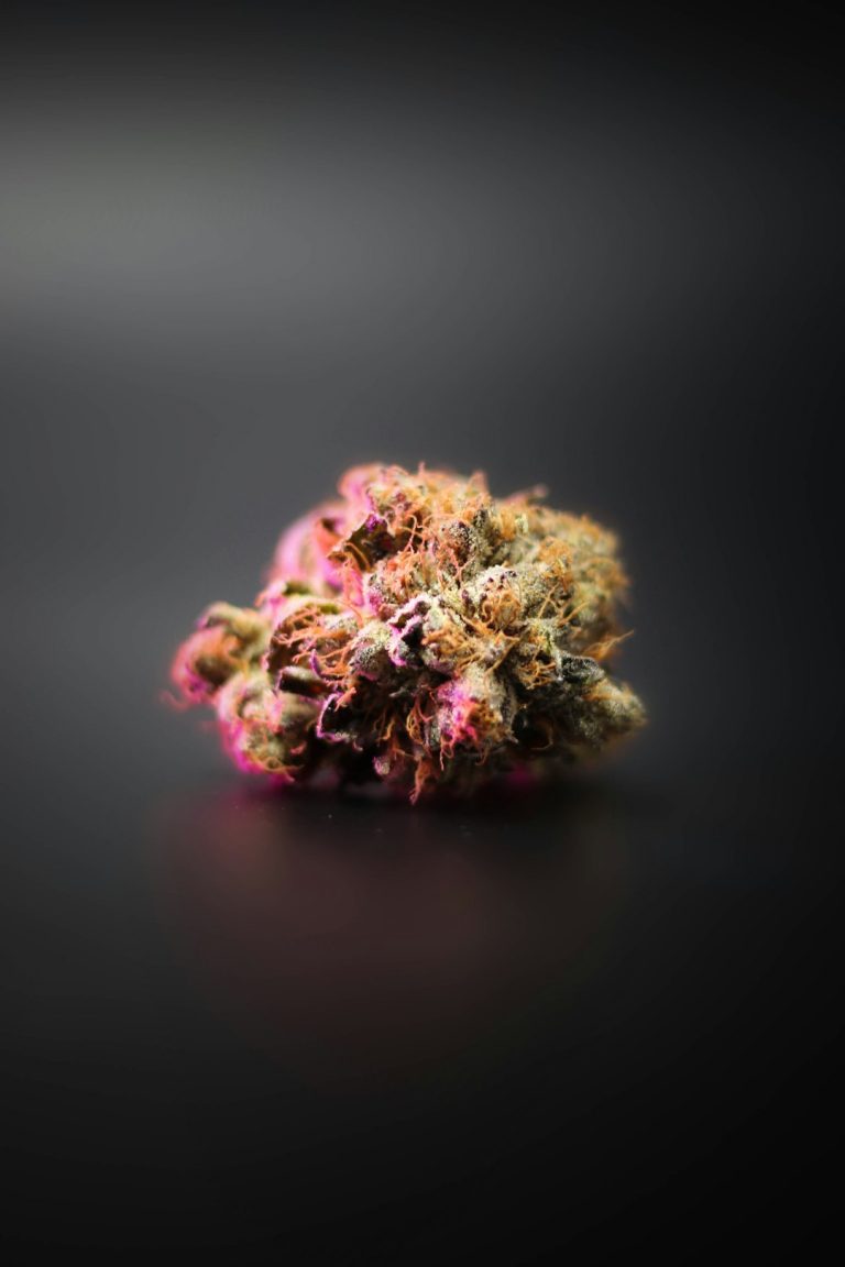 Cannabis Delivery Prague