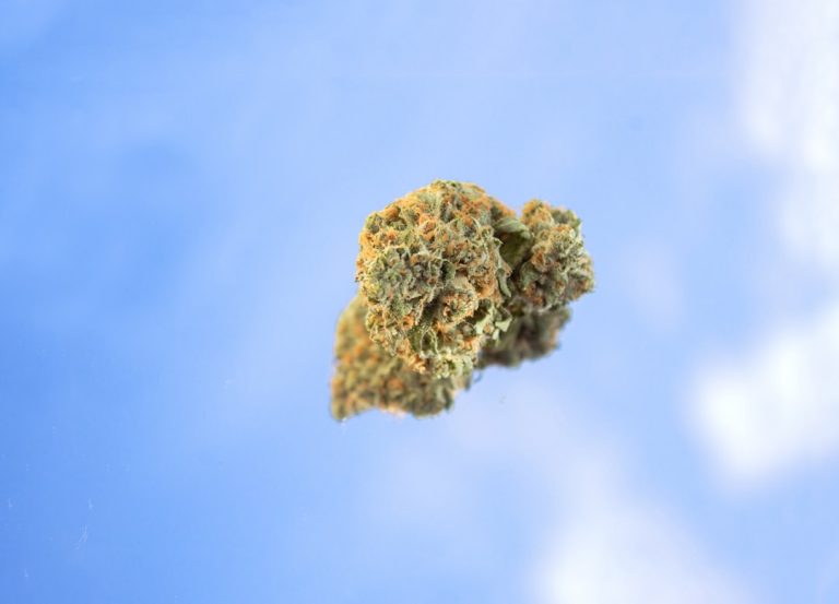 Welcome to the premier hemp shop online in Prague