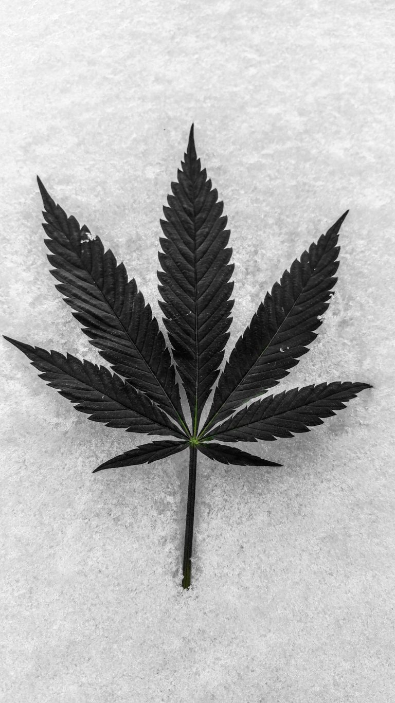 Welcome to the premier destination for THC vape and cannabis vape enthusiasts in Prague