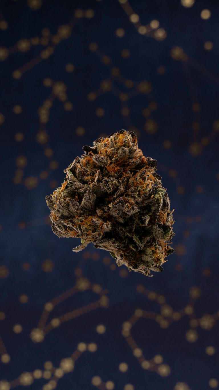 Prague’s Premier Cannabis Shop