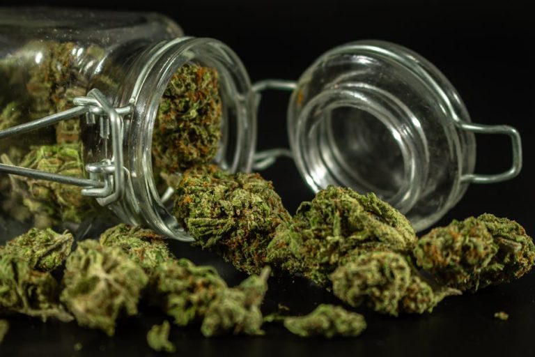 Prague’s Vaping Scene: THC Vape and Cannabis Products