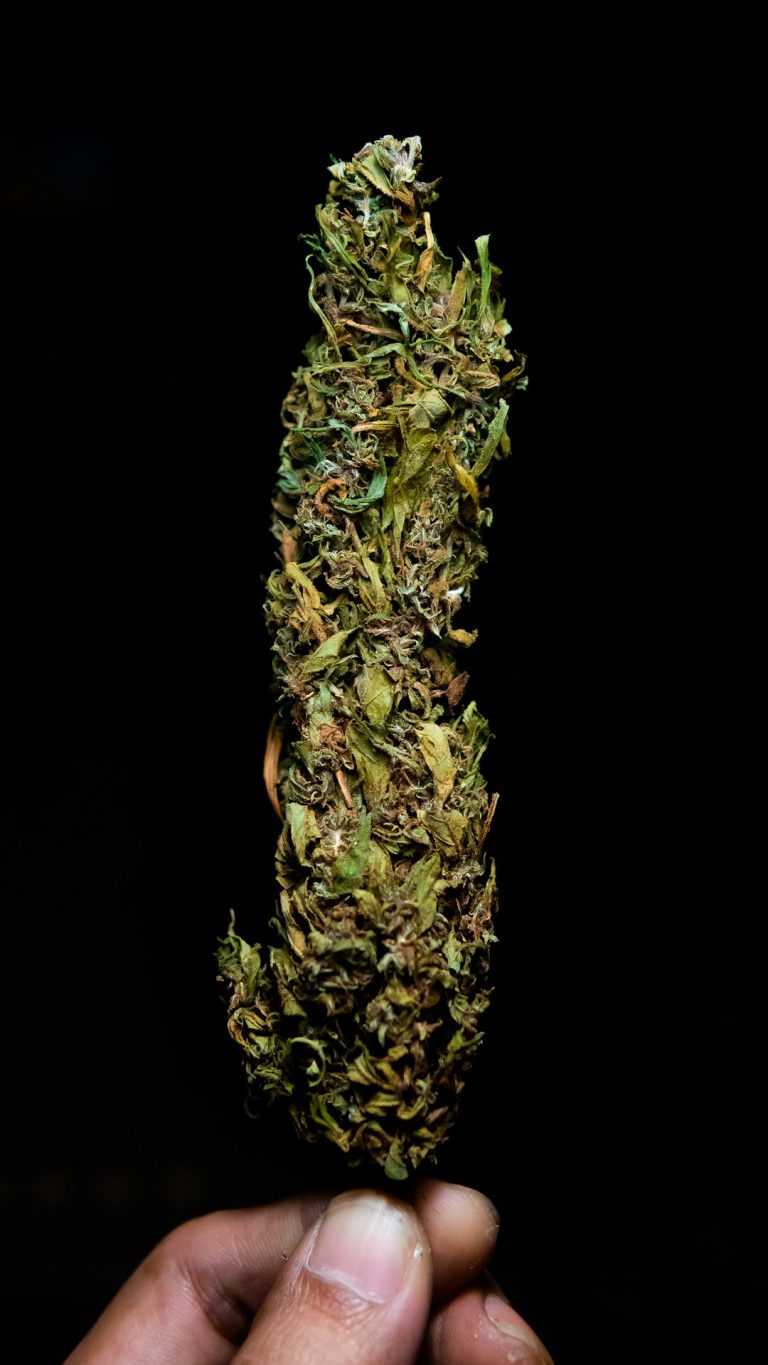 Prague has become a hotspot for cannabis enthusiasts, and the best THC vape menu is now more accessible than ever