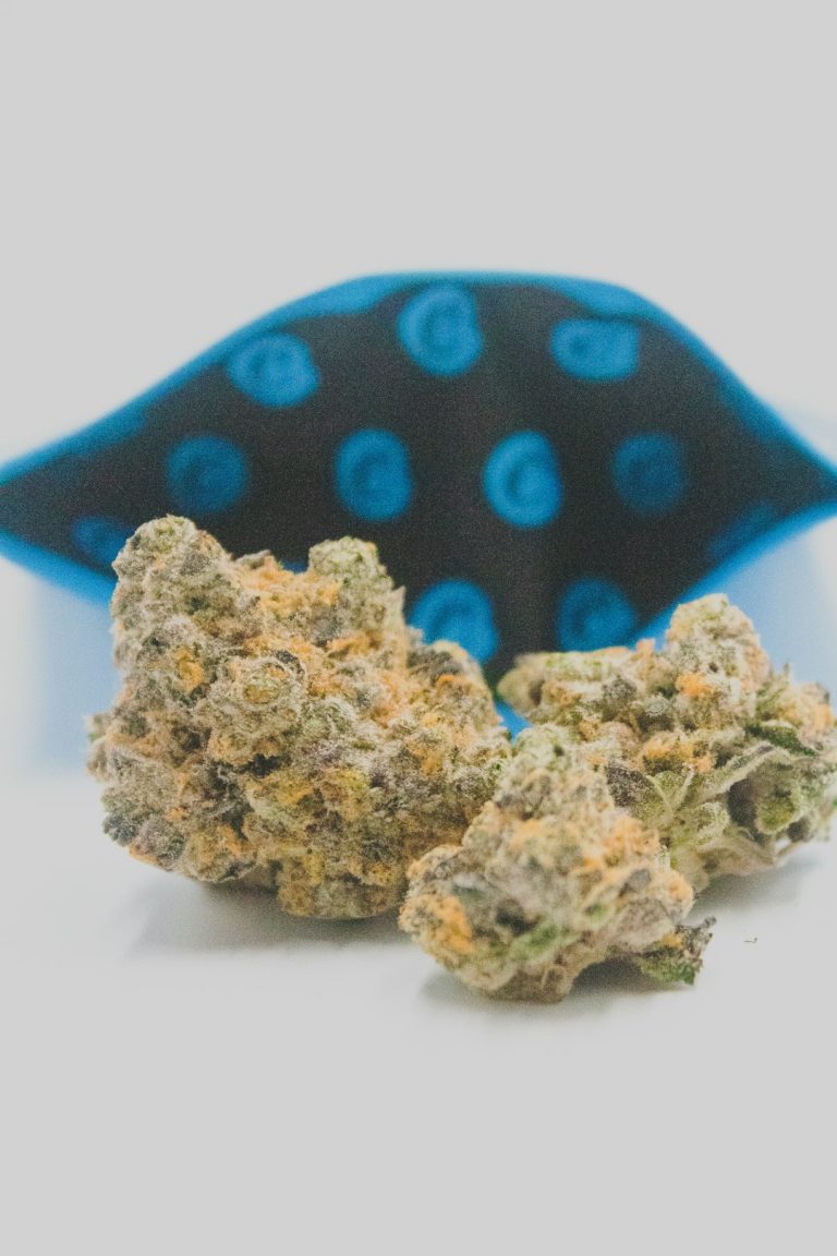 Prague Cannabis Shop Buy THC Online