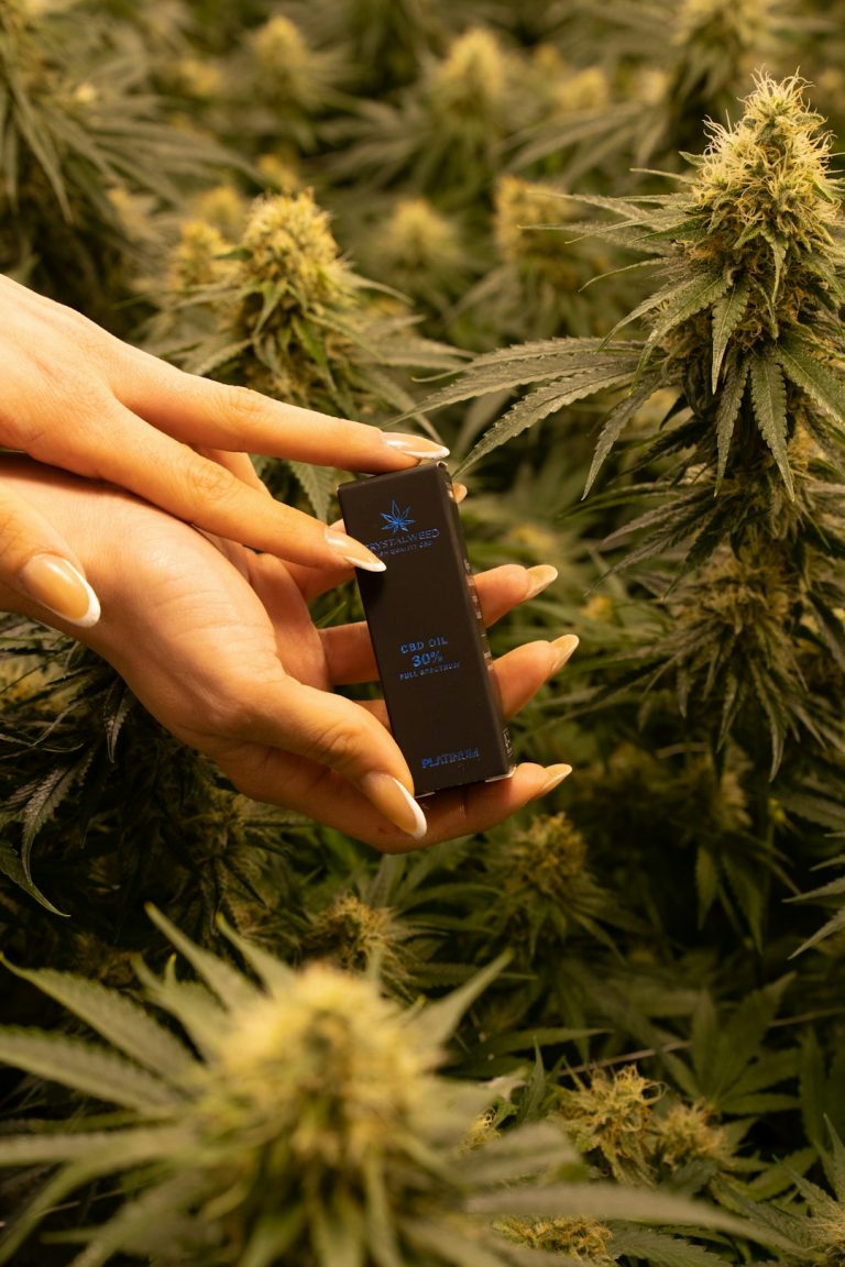 Official THC Store in Prague: Your Online Cannabis Shop