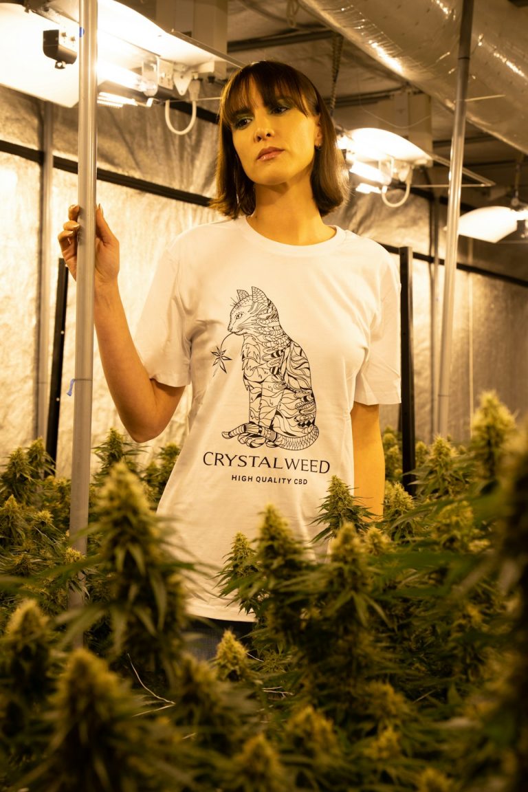 Prague’s evolving cannabis scene offers residents and visitors a reliable, discreet cannabis delivery experience