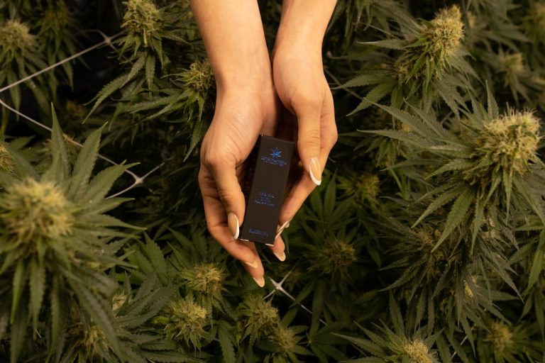 Cannabis Delivery Service Prague
