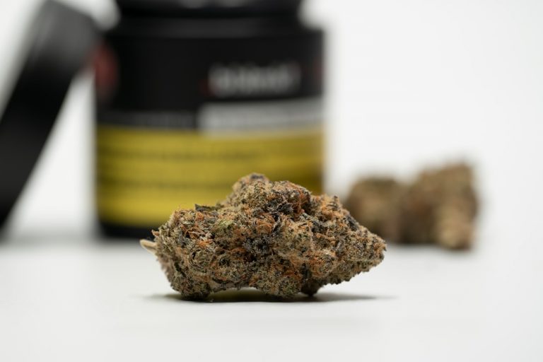 Prague is quickly becoming a hub for cannabis enthusiasts