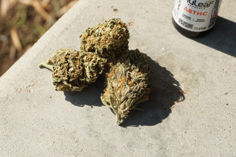 Prague Cannabis Delivery Service