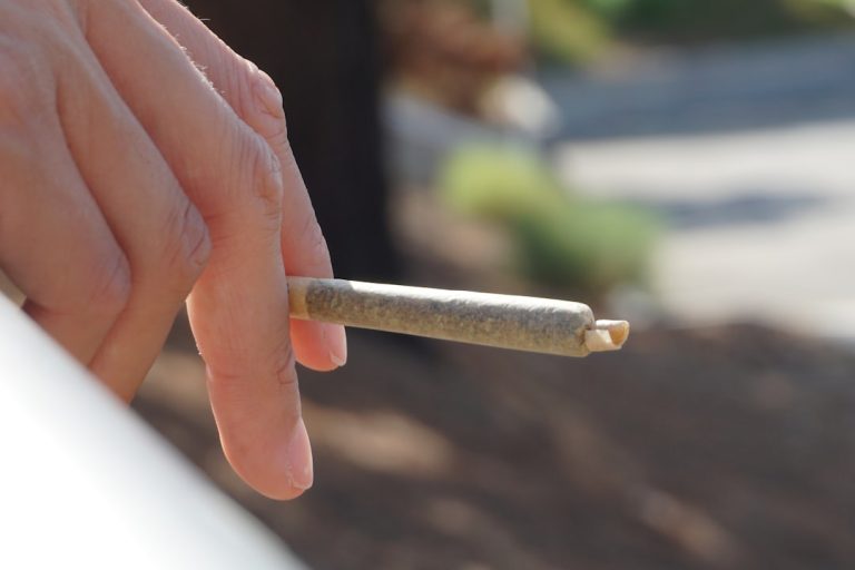 Welcome to the ultimate guide for cannabis‑infused chocolate lovers in the heart of Prague
