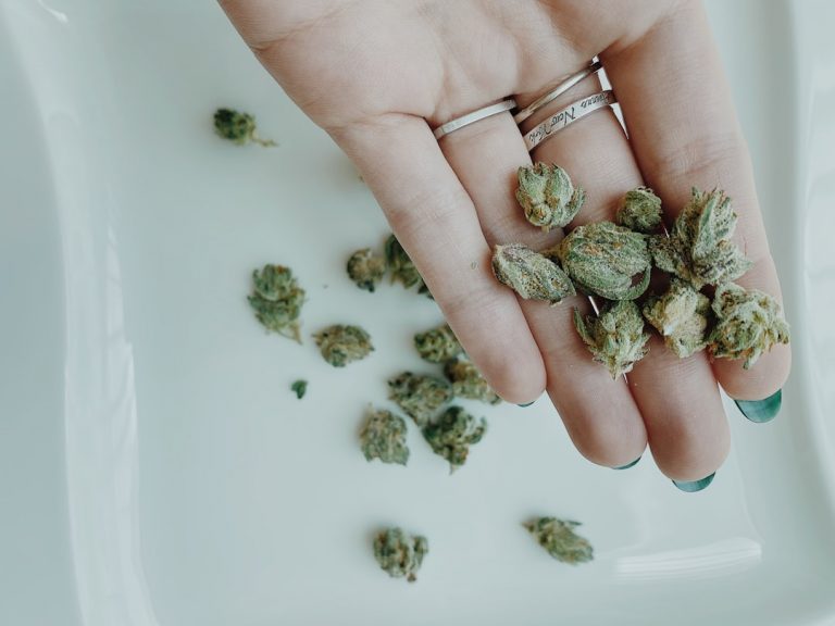 High‑Potency Chocolate Prague Cannabis Shop