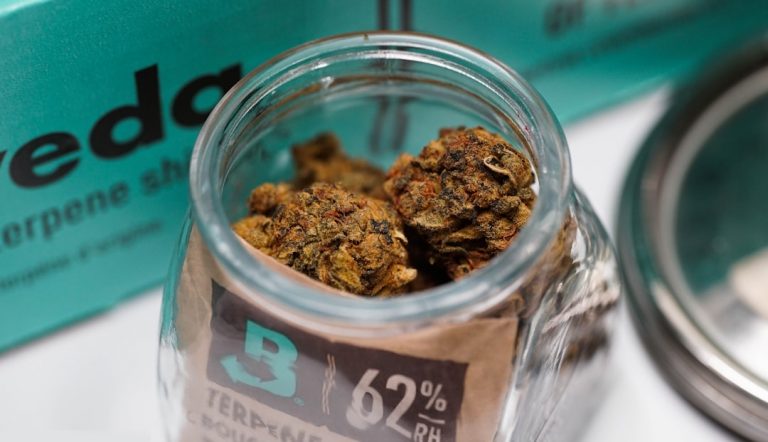 Online Cannabis Shop Prague
