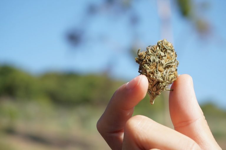 Hemp Boutique Same Day Delivery in Prague