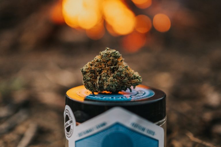 Prague’s hemp market is thriving, and for those looking for the best hemp products Prague has to offer, our shop stands out as the city’s premier destination.