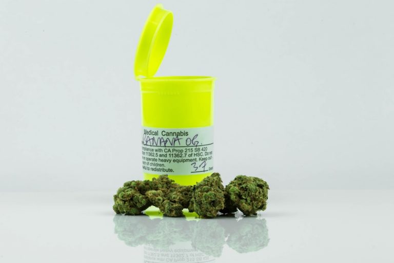 Prague’s Vibrant Cannabis Scene