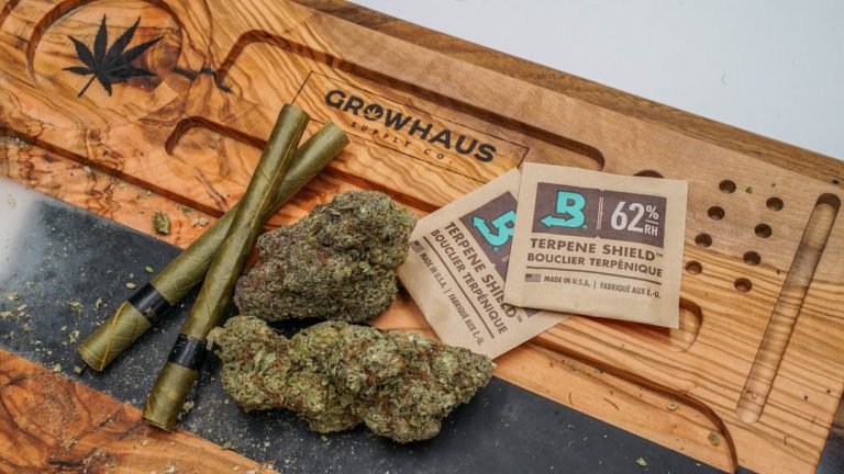 Welcome to the heart of Prague’s cannabis scene – the New Town (Nové Město)