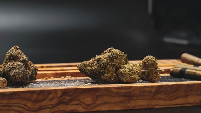The Most Reliable Cannabis Delivery Service in Prague