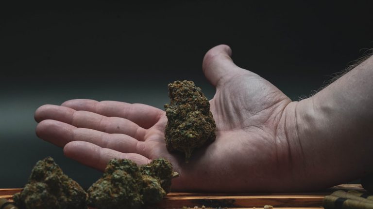 Ordering Cannabis in Prague: A Complete Guide to Legal Purchase and Delivery