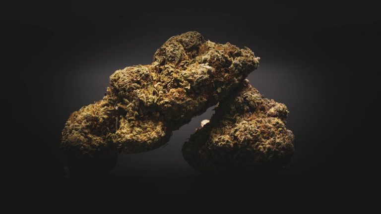 Online Cannabis Delivery in Prague: Discreet, Fast, and Affordable