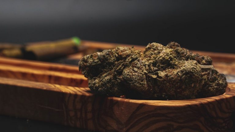 Prague’s Premier Online Cannabis Shop THC Chocolates and Hemp Culture
