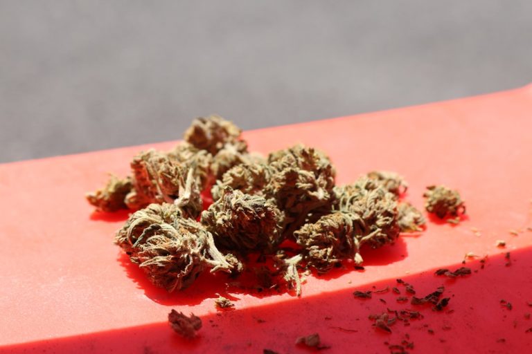 Welcome to the most comprehensive THC chocolate experience in Prague!