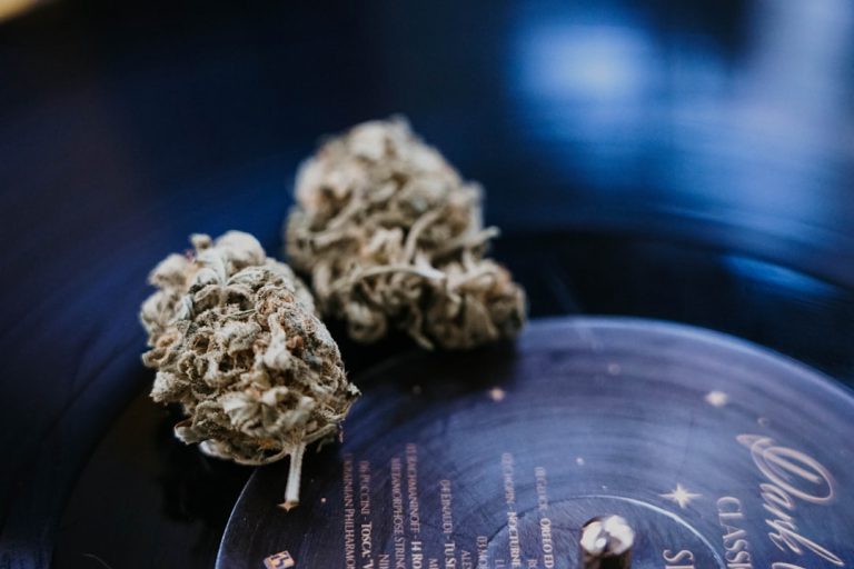 Premium THC‑Infused Chocolate Delivery in Prague