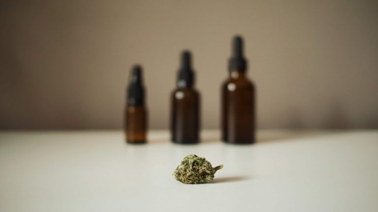 Premium THC-Infused Chocolate Delivery in Prague